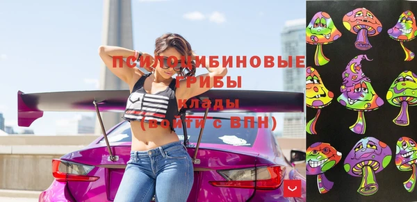 метадон Рославль