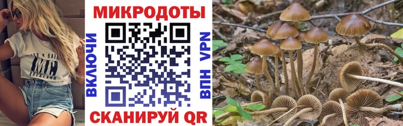 Псилоцибиновые грибы ЛСД  Данков 